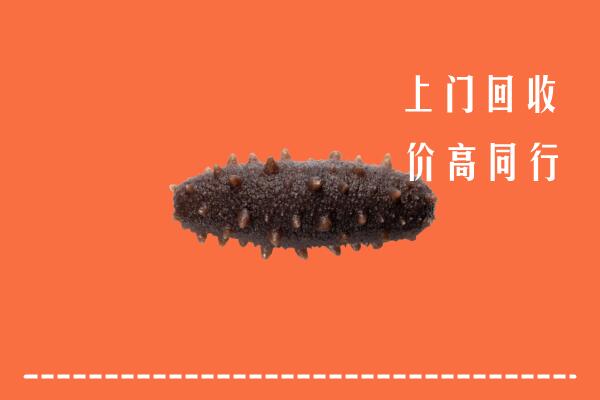 高价求购：通辽科尔沁回收海参